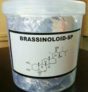 Brassinolide 0.1% SP