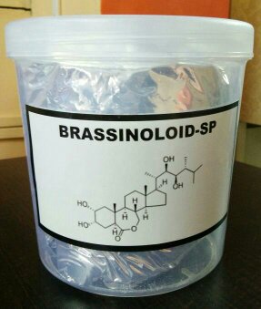 Brassinolide 0.1% SP