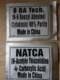 Natca - Image 3