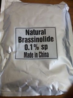 Brassinolide 0.1% SP - Image 2