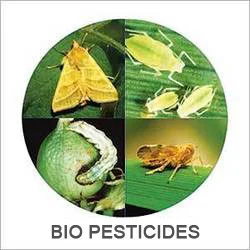 Bio-Pesticide - Image 2