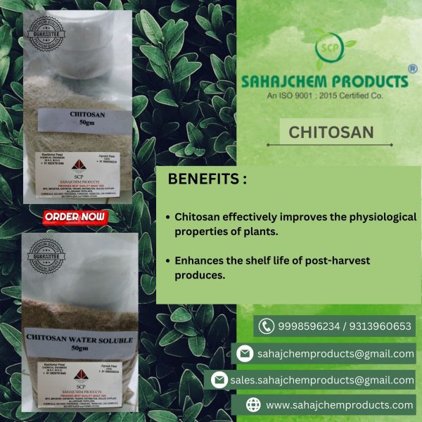 chitosan - Image 5