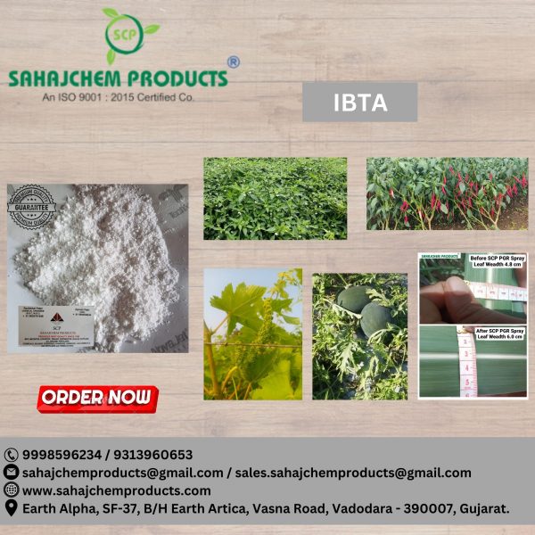 IBTA - Image 2