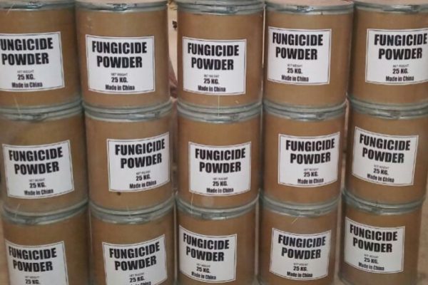 Fungicide Powder - Image 3
