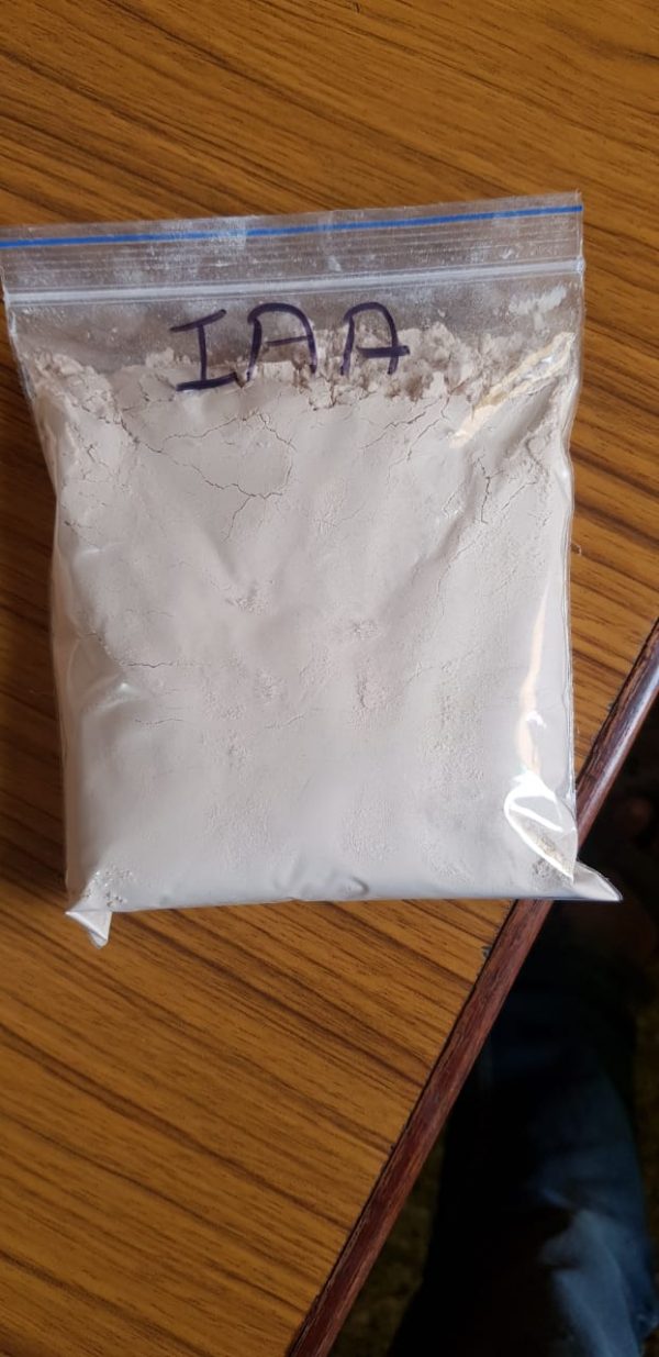 IAA (Indole-3 Acetic Acid) - Image 2