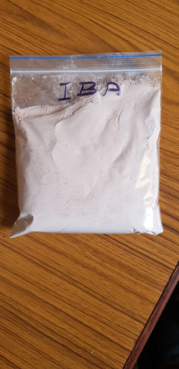 IBA (Indole-3 Butyric Acid) - Image 2