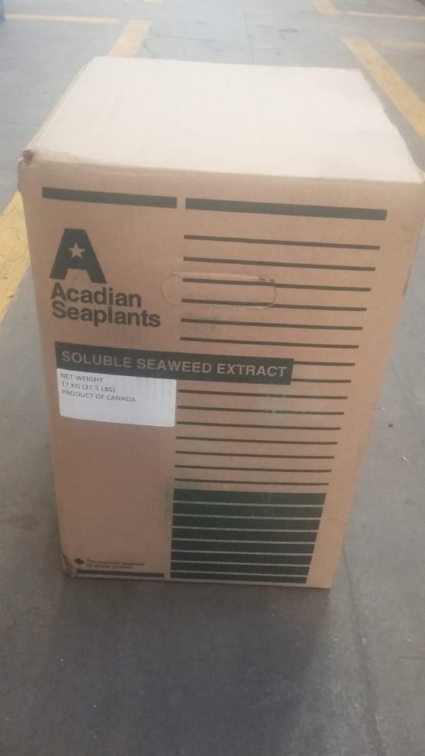 Acadian Seaweed Extract - Image 3
