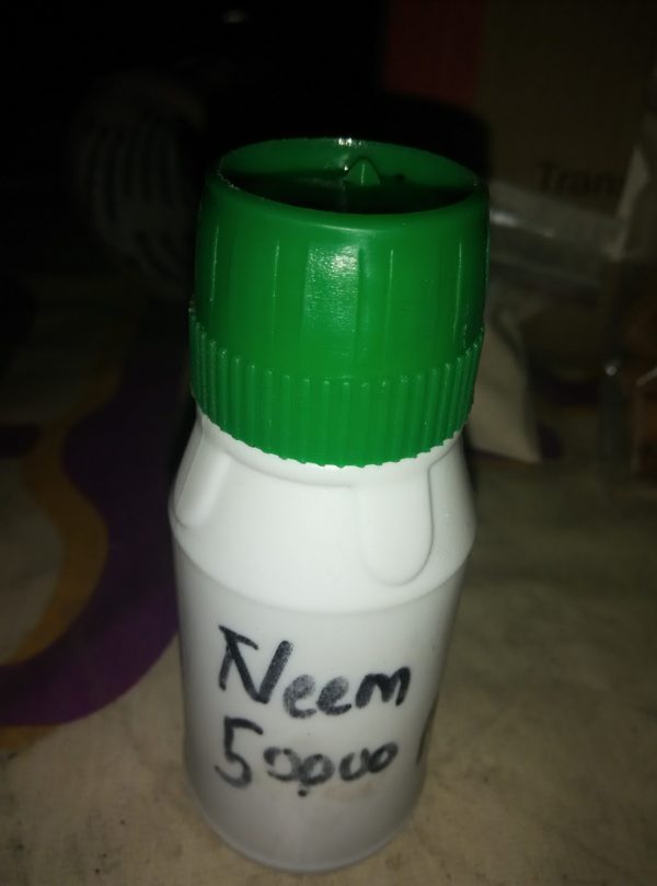 Neem Oil - Image 3
