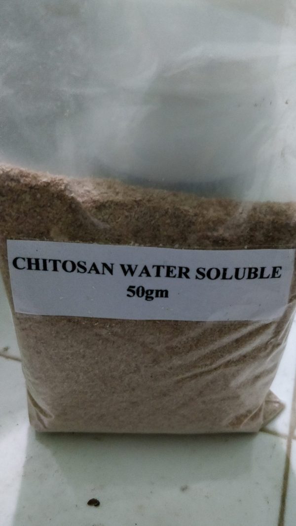 chitosan - Image 3