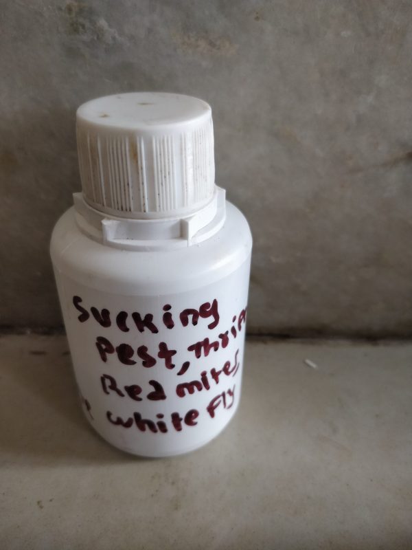 Sucking pest - Image 2
