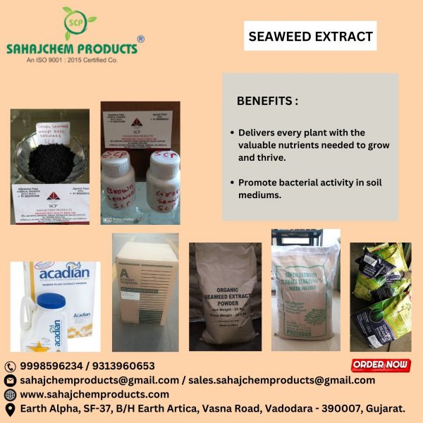 Acadian Seaweed Extract - Image 4