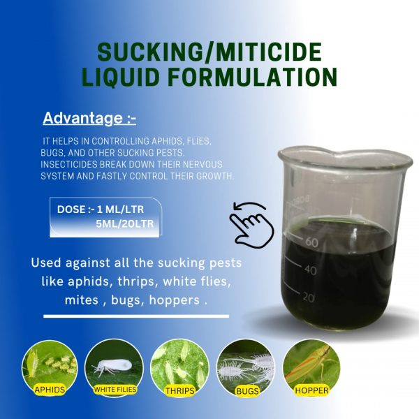 Sucking pest - Image 6